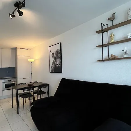 Apartment 2 Etoiles, 4 Pers, A 100m, Centre-ville, Balcon, Parking - Fr-1-197-570
